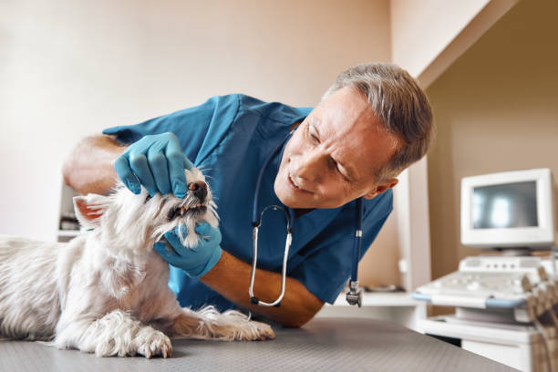 Best Emergency Dentist Near Me  in Moses Lake, WA